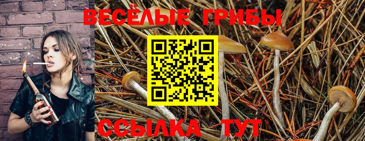 Галлюциногенные грибы ЛСД  Вход с VPN  Ялта 